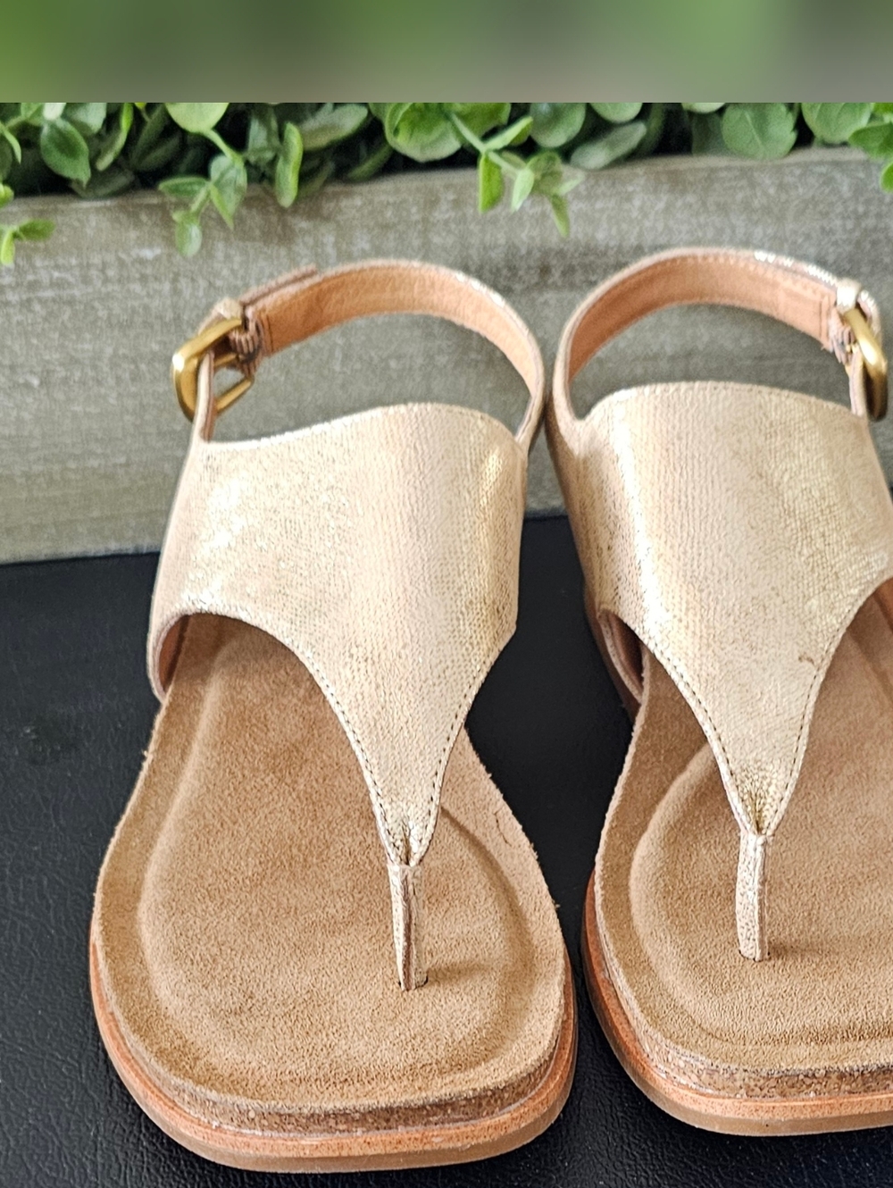 Sofft Metallic Gold/Tan Slingback Italian Leather Thong Sandals Women's Sz 9.5M